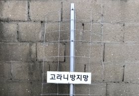 Ϲ